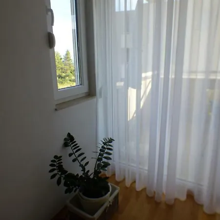 Sunny Lux 마카르스카